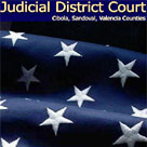 Thirteenth District Court web and database development